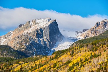 Sonbaharda Aspen korusu. Rocky Dağı Ulusal Parkı. Colorado, ABD. 