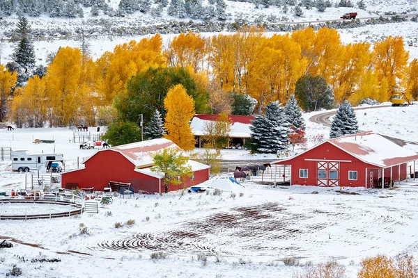 シーズン最初の雪と秋の木を変更します ロッキー山脈 コロラド州 — ストック写真