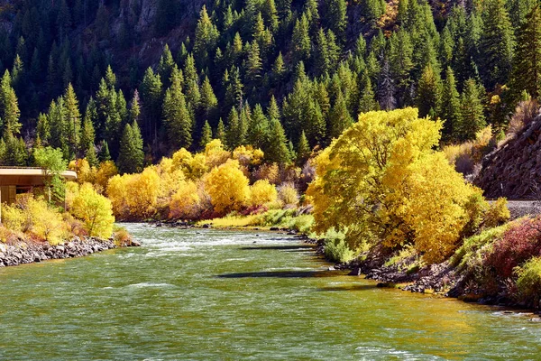 Sonbahar Ağaçlar Nehir Manzara Rocky Dağları Colorado Abd — Stok fotoğraf