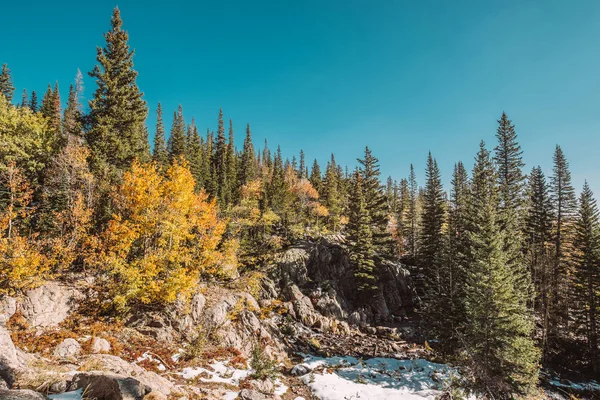 Season changing, first snow and autumn aspen trees in  Rocky Mountain National Park, Colorado, USA.