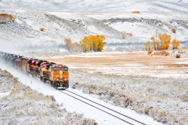 Tank arabalar taşıma tren. Sezon değiştirme, ilk kar ve sonbaharda ağaçlar. Rocky Dağları, Colorado, ABD. 