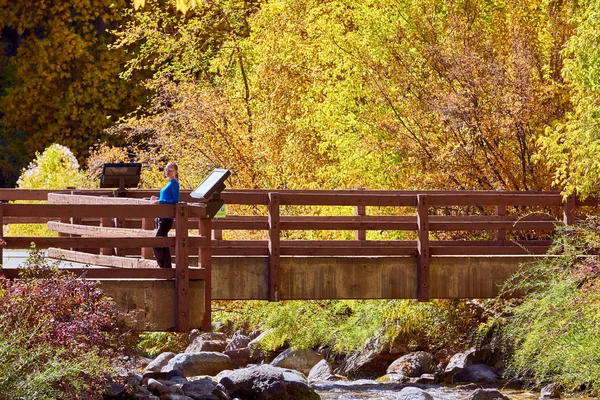 Woman Bridge Landscape Autumn Trees River Rocky Mountains Colorado Usa — Stock Photo, Image