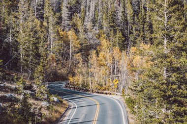 Rocky Dağı Ulusal Parkı 'nda sonbahar güneşli bir günde otoyol. Colorado, ABD