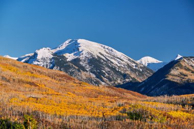 Kebler Pass içinde Colorado Rocky Dağları, ABD, sonbahar manzara 