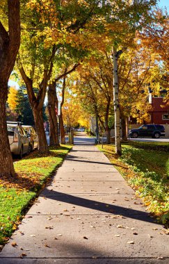 Aspen town, sonbahar, Colorado, ABD boş sokakta. 