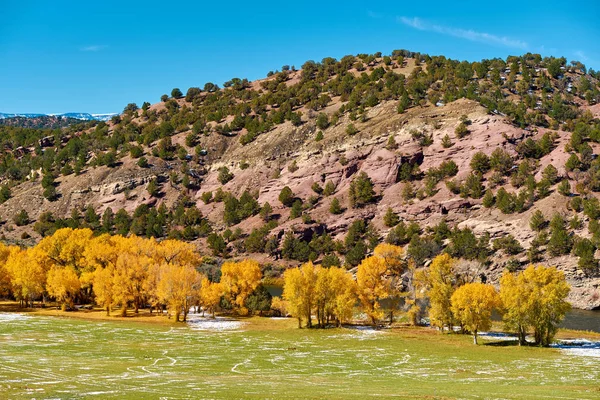 Landskap Med Høstgule Trær Rocky Mountains Colorado Usa – stockfoto