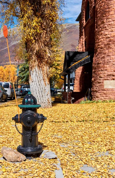 Strada Nella Città Aspen Autunno Colorado Usa — Foto Stock