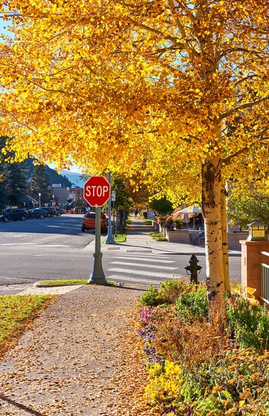 Street with stop road sign in Aspen town at autumn, Colorado, USA.