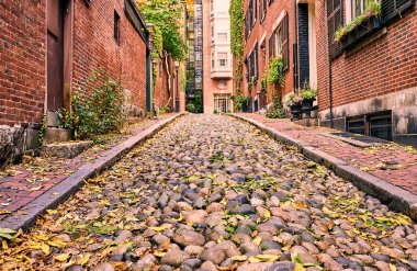 Tarihi meşe palamudu Street, Beacon Hill mahalle, Boston, ABD.