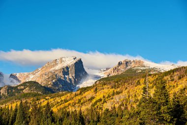 ısmarlayarak sonbahar kavak Grove, Rocky Dağı Milli Parkı, Colorado, ABD