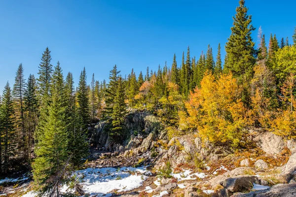 Değiştirme Ilk Kar Sonbahar Kavak Ağaçları Rocky Dağı Milli Parkı — Stok fotoğraf