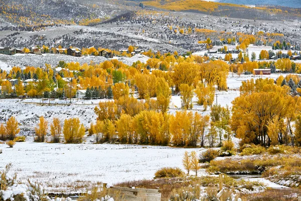 Bairro Residencial Com Primeira Neve Árvores Outono Rocky Mountains Colorado — Fotografia de Stock