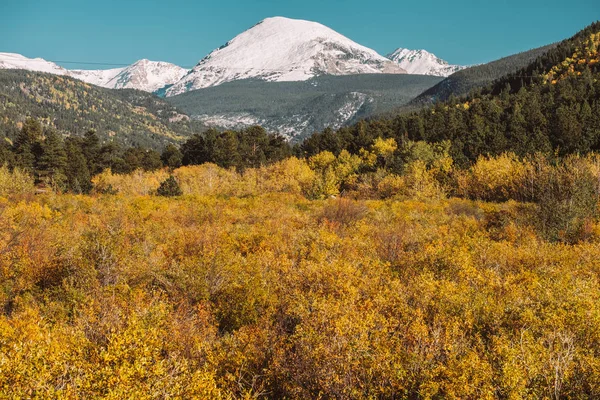 Season changing from autumn to winter, Rocky Mountains, Colorado, USA.