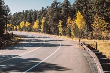 ormandaki sonbahar, Colorado, ABD büyük otoyol. 