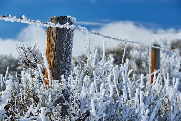 landscape with hoarfrost on fence at winter sunny day