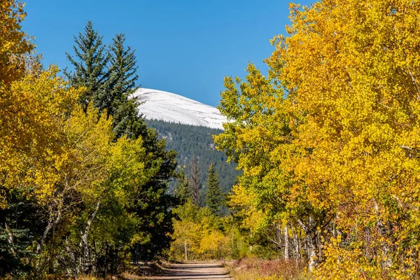 Route Non Goudronnée Lors Une Journée Ensoleillée Automne Colorado États — Photo