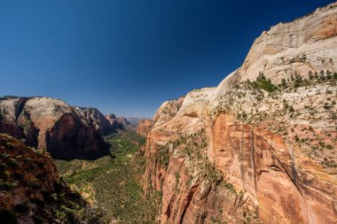 Utah, ABD 'deki Zion Ulusal Parkı' ndaki kaya oluşumlarıyla manzara.