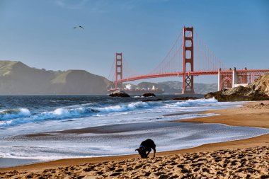 Golden Gate Köprüsü manzarası Baker Beach, San Francisco, California, ABD.