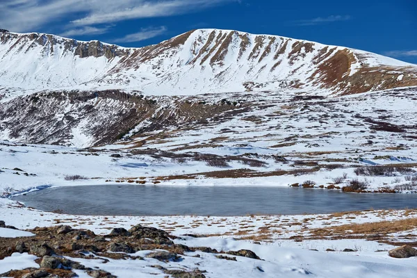 Independence Pass Rocky Mountains Colorado Usa High Alpine Tundra Landscape — Stock Photo, Image