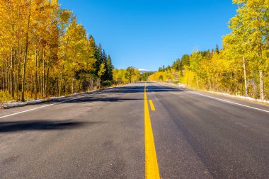 Sonbahar güneşli gün, Otoban, Colorado, ABD. 