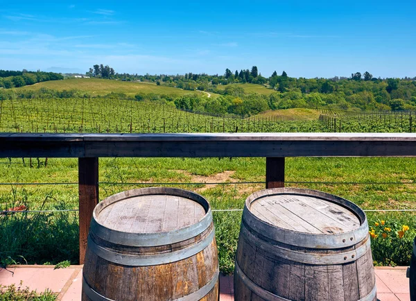 Beczki Winem Krajobraz Winnic Kalifornii Usa — Zdjęcie stockowe