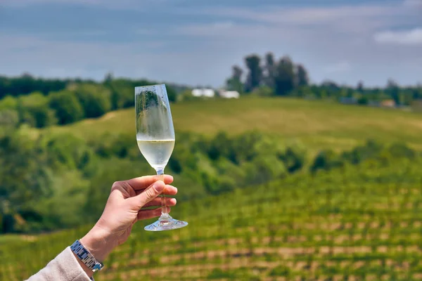 Wine tasting in California. Glass of white wine in female hand and vineyards.