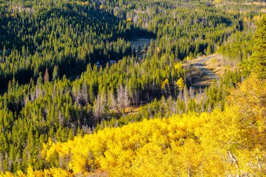 Otoyol sonbahar güneşli günde Rocky Dağları Milli Parkı'nda. Colorado, ABD. 
