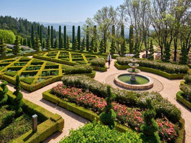 Kadın turist California üzüm bağları, ABD resmi Garden. 
