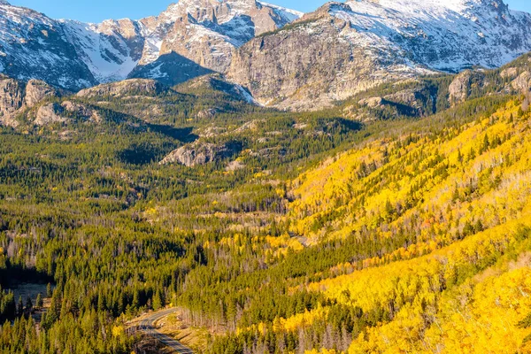 Boschetto Aspen Autunno Parco Nazionale Rocky Mountain Colorado Stati Uniti — Foto Stock