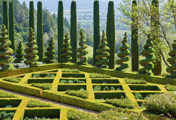 Formal garden in California vineyards, USA. 