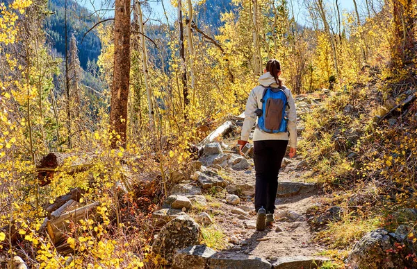 Turisztikai Walking Nyomvonal Aspen Grove Ősszel Rocky Mountain Nemzeti Parkban — Stock Fotó