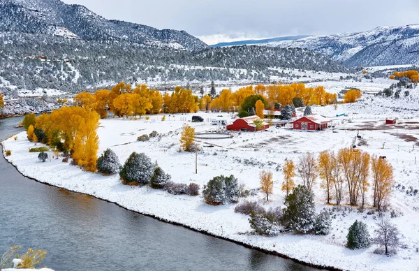 Vue Aérienne Changement Saison Des Premiers Arbres Neige Automne Rocky — Photo