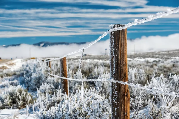 Season changing, landscape with hoarfrost on fence.