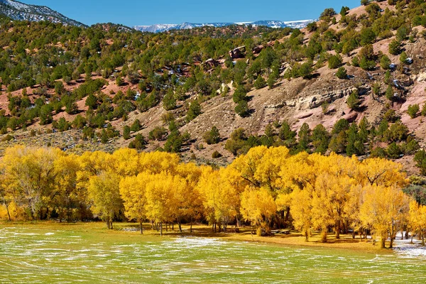 黄色の秋の木々 のある風景します ロッキー山脈 コロラド州 — ストック写真