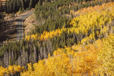 Otoyol sonbahar güneşli günde Rocky Dağları Milli Parkı'nda. Colorado, ABD. 