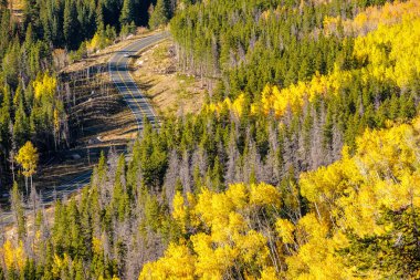 Otoyol sonbahar güneşli günde Rocky Dağları Milli Parkı'nda. Colorado, ABD. 