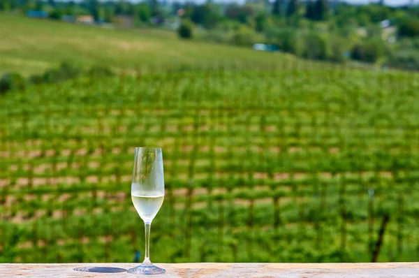 Dégustation Californie Verre Vin Blanc Vignes — Photo