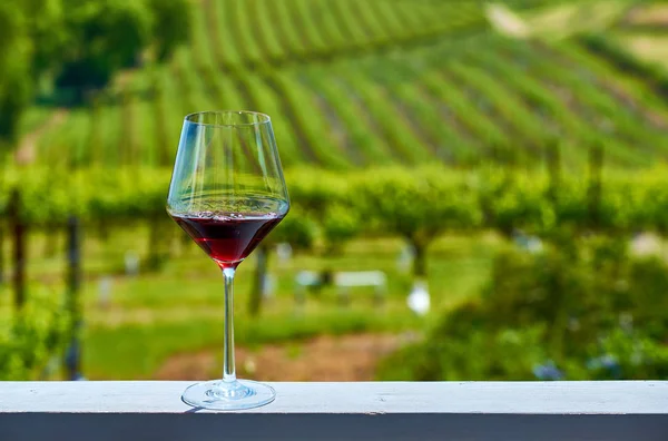 Degustação Vinhos Califórnia Copo Vinho Tinto Vinhas Fundo — Fotografia de Stock