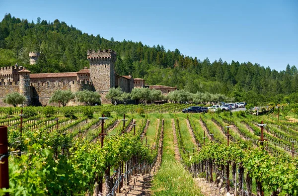 Vignobles Avec Château Californie Usa — Photo