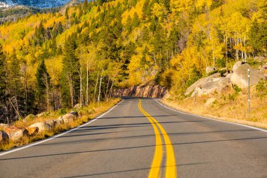 Karayolu ile gün Sonbahar Ormanı Rocky Dağı Milli Parkı, Colorado, ABD. 