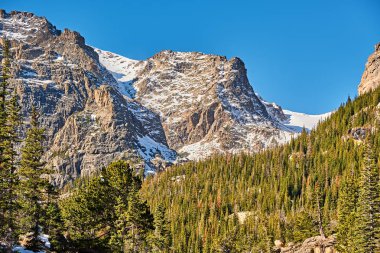 Rocky Dağı Milli Parkı, Colorado, ABD sonbahar orman görünümünü. 