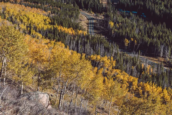 Estrada Vazia Floresta Outono Rocky Mountain National Park Colorado Eua — Fotografia de Stock