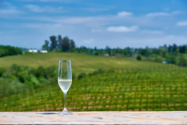 Copa Vino Sobre Tabla Madera Con Viñedo Fondo — Foto de Stock