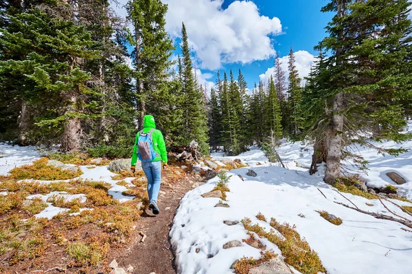 Achteraanzicht Van Toeristische Wandelen Besneeuwde Trail Rocky Mountain National Park — Stockfoto