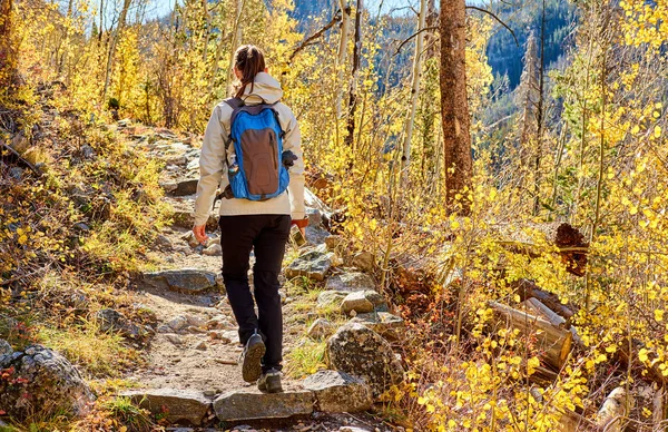 Turisztikai Walking Nyomvonal Aspen Grove Ősszel Rocky Mountain Nemzeti Parkban — Stock Fotó