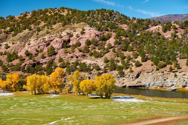 Landskap Med Høsttrær Elv Rocky Mountains Colorado Usa – stockfoto