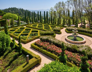 Kadın turist California üzüm bağları, ABD resmi Garden. 