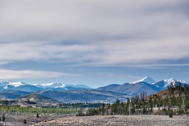 Doğal görünümü orman, Colorado, ABD ve Rocky Dağları. 
