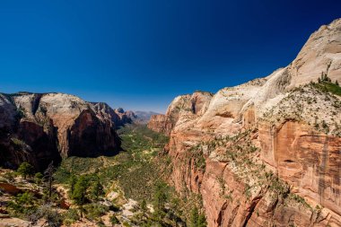 Kaya oluşumları Zion National Park, Utah, ABD, yatay görünümünü