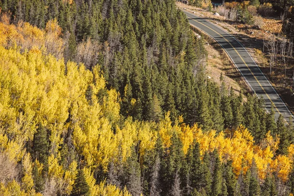 Estrada Com Floresta Outono Parque Nacional Montanha Rochosa Colorado Eua — Fotografia de Stock